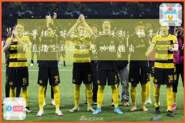 世界杯买球主站入口评测：畅享体育直播全新体验与功能指南