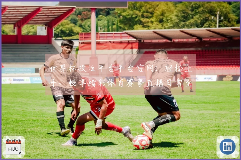 世界杯投注平台平台官网：轻松上手，畅享精彩体育赛事直播日常全攻略