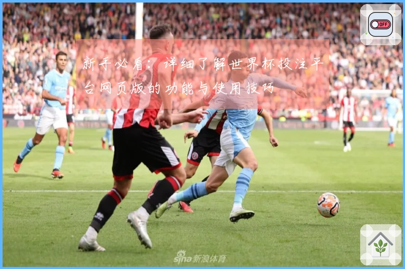 新手必看：详细了解世界杯投注平台网页版的功能与使用技巧