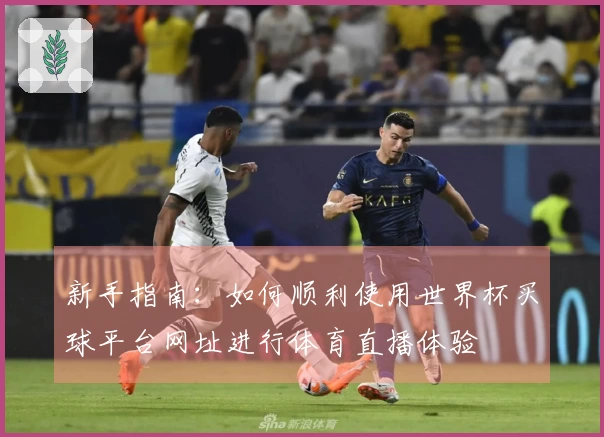 新手指南：如何顺利使用世界杯买球平台网址进行体育直播体验