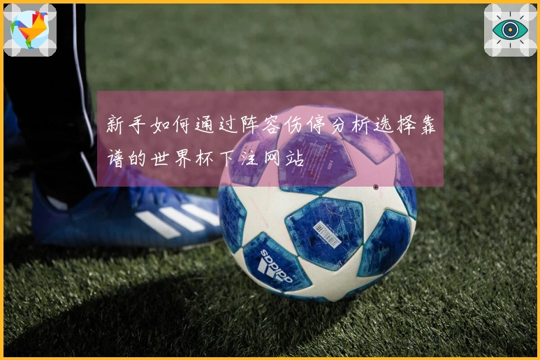 新手如何通过阵容伤停分析选择靠谱的世界杯下注网站