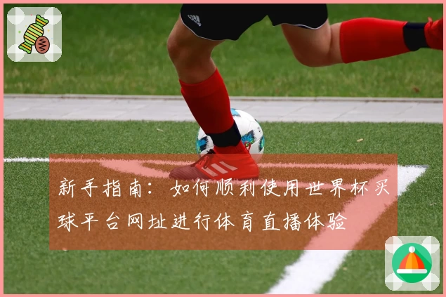 新手指南：如何顺利使用世界杯买球平台网址进行体育直播体验