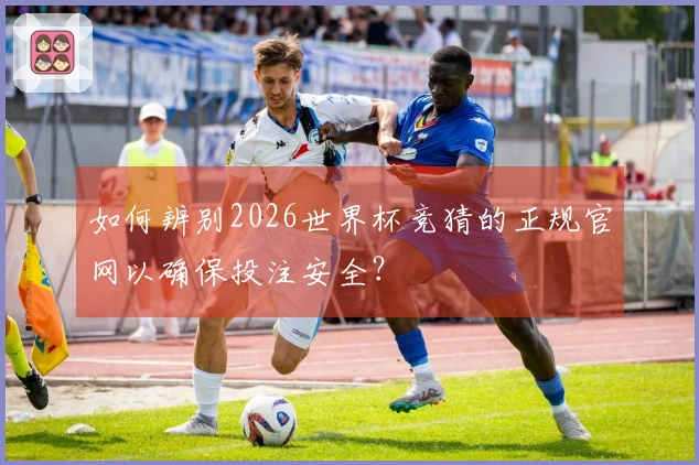 如何辨别2026世界杯竞猜的正规官网以确保投注安全?